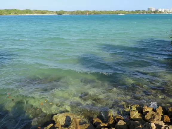Incredible spot jutting into the aquamarine intracoastal- breezy and blissful, with live music!