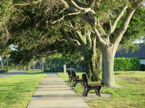 Walk past tropical plants in a hilly area!