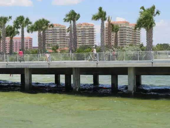 Amazing new development with gorgeous modern buildings, cafes, an incredible playground, and interesting lights at night.