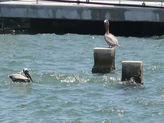 Amazing new development with gorgeous modern buildings, cafes, an incredible playground, and interesting lights at night.