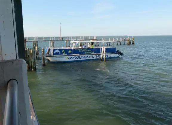 Peaceful pier where you can see the wide open bay and bridge.