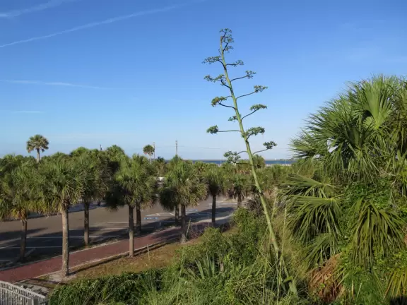 Beautiful beach, long pier, and mortar battery that used to defend the fort.