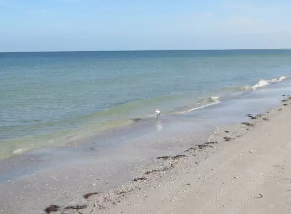 Beautiful beach, long pier, and mortar battery that used to defend the fort.