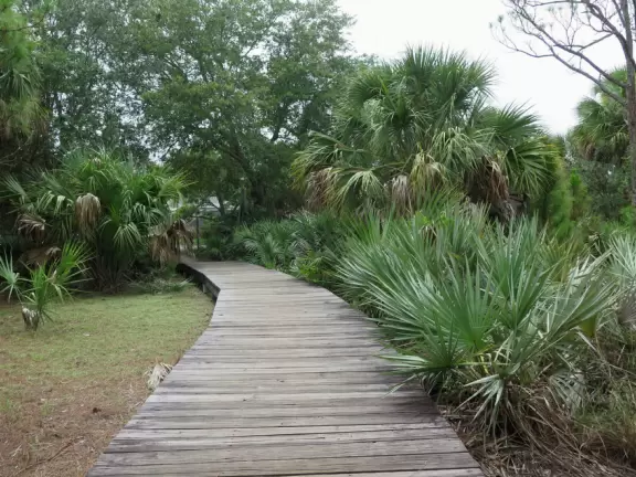 Paved path through a pretty coastal hammock (jungle).