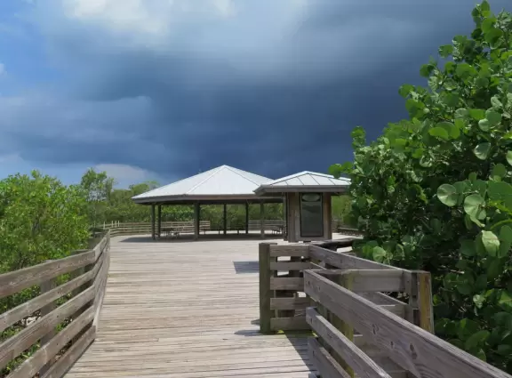 Tropical walk through mangrove forest and varied vegetation to a huge gazebo over the intracoastal and a path to a little beach.