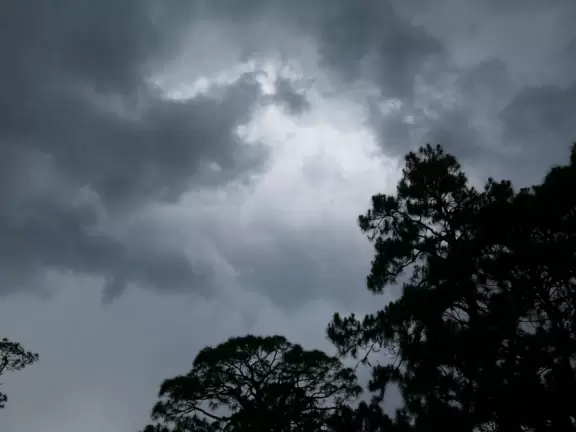Tropical walk through mangrove forest and varied vegetation to a huge gazebo over the intracoastal and a path to a little beach.