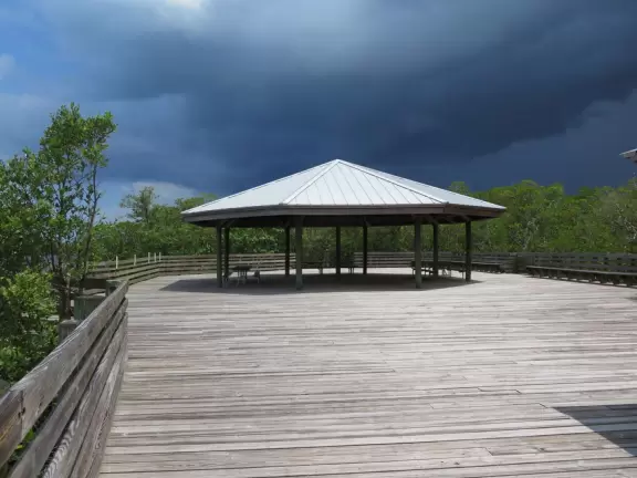 Tropical walk through mangrove forest and varied vegetation to a huge gazebo over the intracoastal and a path to a little beach.