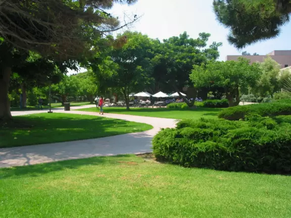 A walk past grassy knolls, a shimmering lagoon, and picturesque bluffs above the ocean, all in the vibrant atmosphere of campus!