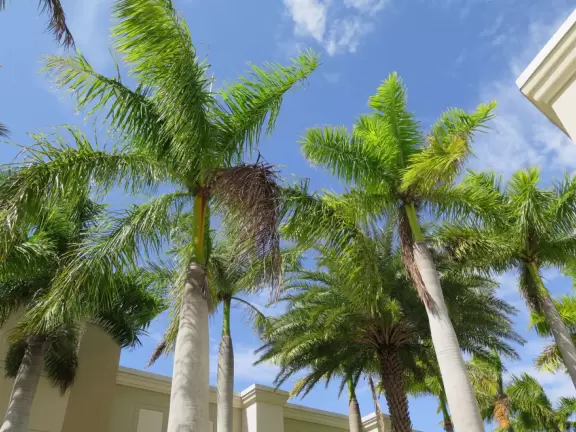 Town with splash pad on the lake, town square with cafes, playground, and lots of stores.
