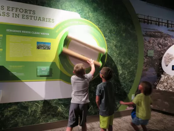 Beautiful nature center on Hutchinson Island, with nature trail on boardwalks, lagoon filled with sharks and game fish, stingrays you can feed by hand, and huge ocean deck with views around the island!