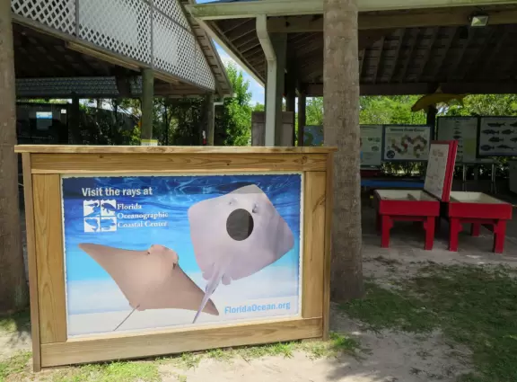 Beautiful nature center on Hutchinson Island, with nature trail on boardwalks, lagoon filled with sharks and game fish, stingrays you can feed by hand, and huge ocean deck with views around the island!