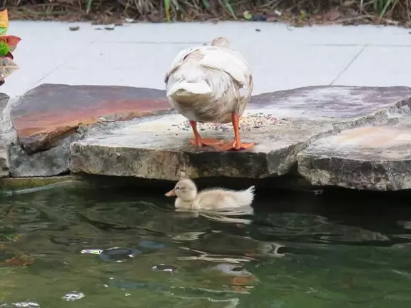 Paradise! A casual cafe on the water with adirondack chairs, picnic tables, and a great breeze!