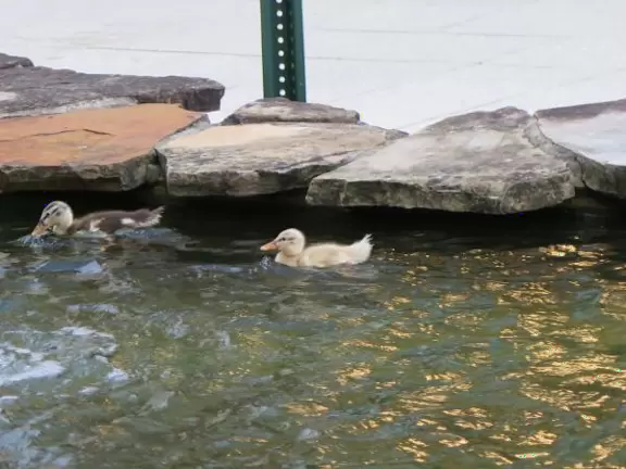 Paradise! A casual cafe on the water with adirondack chairs, picnic tables, and a great breeze!