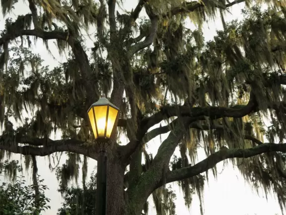 Gorgeous campus with bright European architecture on a lake- go for a walk here or attend a music concert by renowned visitors or exceptional students!