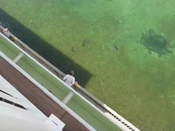 Beautiful nature center on Hutchinson Island, with nature trail on boardwalks, lagoon filled with sharks and game fish, stingrays you can feed by hand, and huge ocean deck with views around the island!