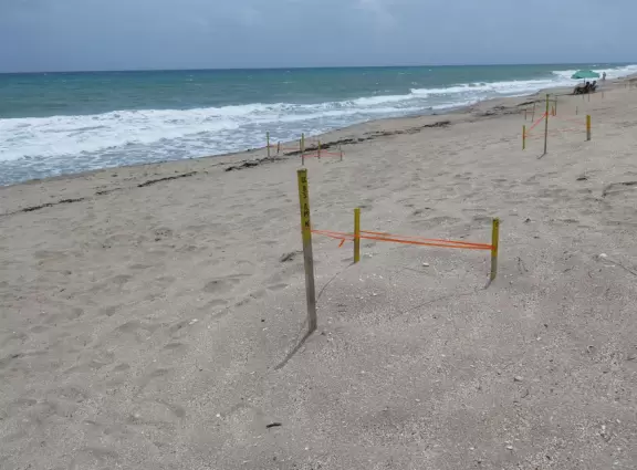 Popular beach with large parking lot and picnic gazebos. Hutchinson Shores Resort has a wonderful restaurant!