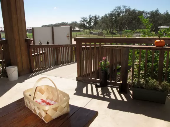 Cute, clean, real working dairy farm where you can take fun tours.