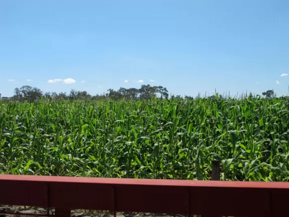 Cute, clean, real working dairy farm where you can take fun tours.