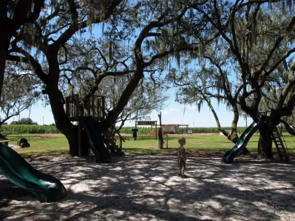 Cute, clean, real working dairy farm where you can take fun tours.