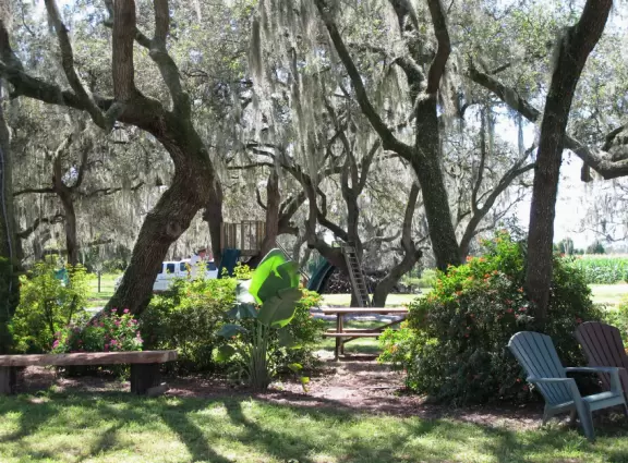 Cute, clean, real working dairy farm where you can take fun tours.