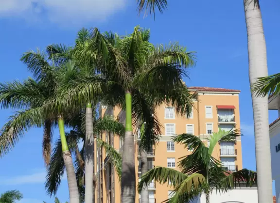 Main strip of West Palm Beach, with colorful and inviting architecture and decorations.