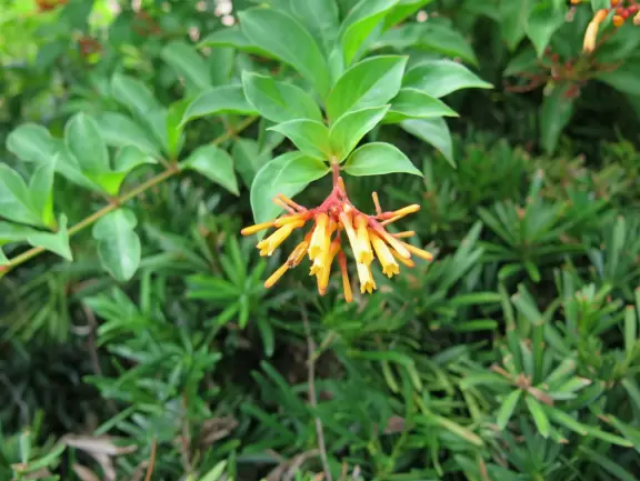 Beautiful garden with many little spots to explore such as a cactus garden, butterfly garden, pond, and beautiful indoor pavilion with gift shop and stained glass windows.