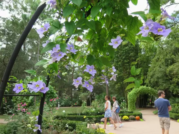 Beautiful garden with many little spots to explore such as a cactus garden, butterfly garden, pond, and beautiful indoor pavilion with gift shop and stained glass windows.