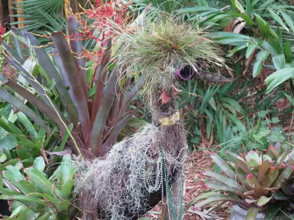 Beautiful garden with many little spots to explore such as a cactus garden, butterfly garden, pond, and beautiful indoor pavilion with gift shop and stained glass windows.