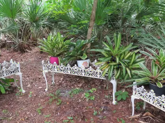 Beautiful garden with many little spots to explore such as a cactus garden, butterfly garden, pond, and beautiful indoor pavilion with gift shop and stained glass windows.