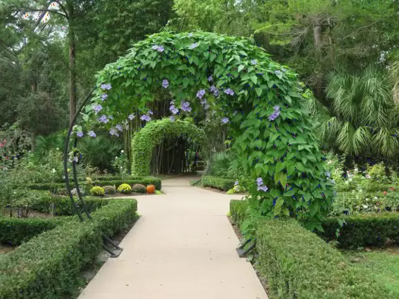 Beautiful garden with many little spots to explore such as a cactus garden, butterfly garden, pond, and beautiful indoor pavilion with gift shop and stained glass windows.