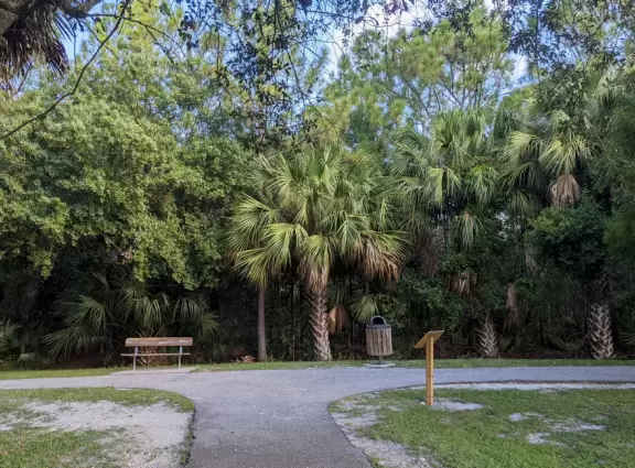 Large playground with sand floor and huge shade canopy, plus hike through a jungle paradise!