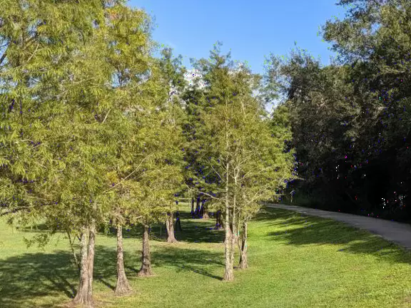 Large playground with sand floor and huge shade canopy, plus hike through a jungle paradise!