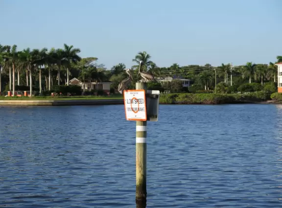 Beautiful, large park on the intracoastal waterway with a wonderful children's museum, splash pad, pier, waterfront boardwalk, white sand beach, mansion, captain's house, mangrove boardwalk, and path around a pond.