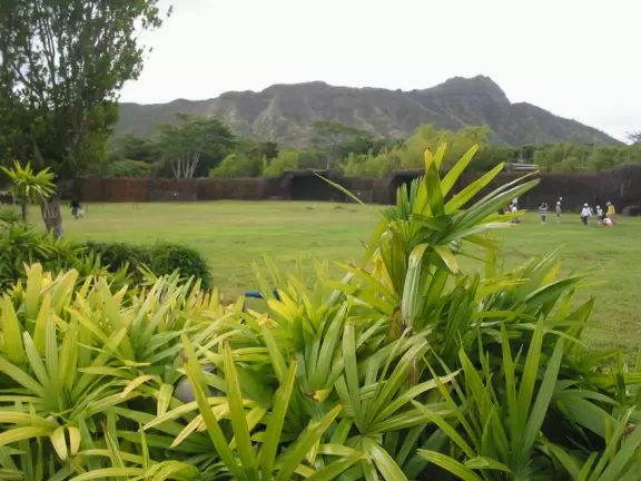 Stunning lush lawns shaded by massive tree canopies, tropical flowers, winding paths, intimate exhibits, a space-age playground, and petting zoo.