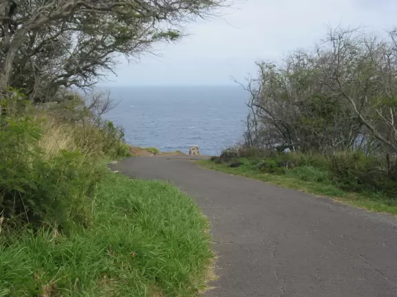Makapuu (Makapu'u) Lighthouse Hike&nbsp; has a stunning view from the top, and a chance to see humpback whales along the way!