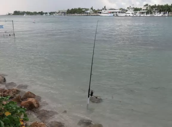 Fishing rod in the clear water.