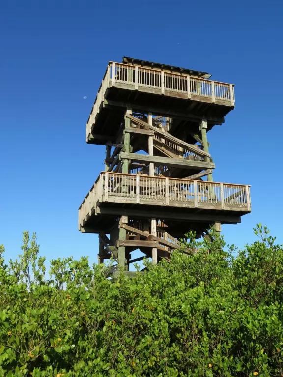 Lovely three mile loop walk past wildflowers, the bay, and to a tower with great views!