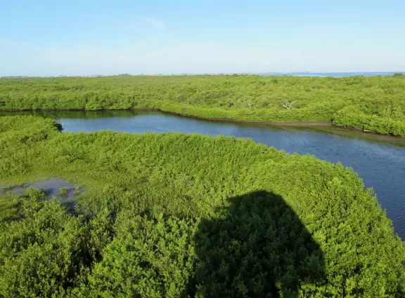 Lovely three mile loop walk past wildflowers, the bay, and to a tower with great views!