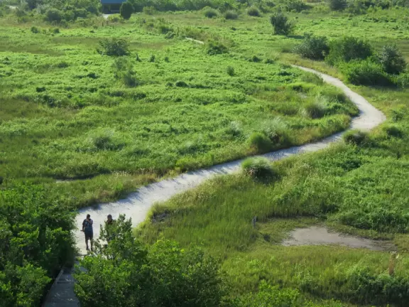 Lovely three mile loop walk past wildflowers, the bay, and to a tower with great views!