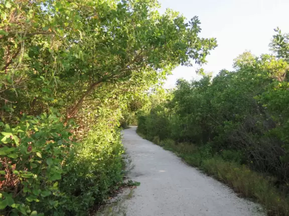Lovely three mile loop walk past wildflowers, the bay, and to a tower with great views!