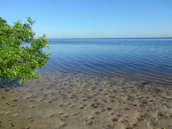 Lovely three mile loop walk past wildflowers, the bay, and to a tower with great views!