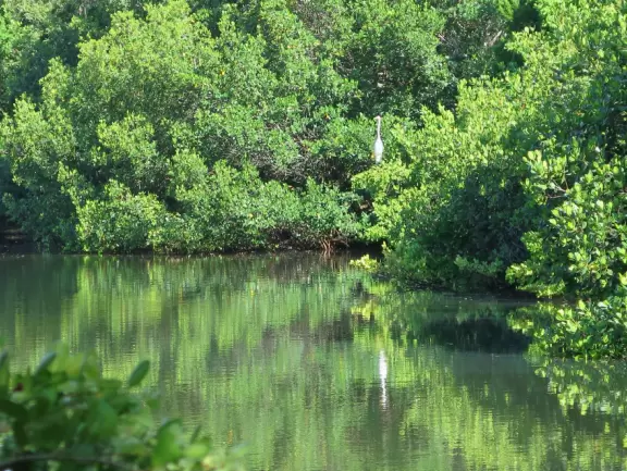 Cute street with white sand along the sidewalks. Little shops and cafes. White sand beach on one end and intracoastal pier on the other!