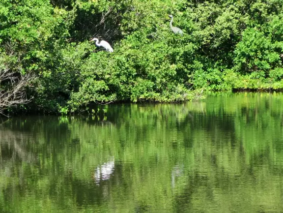 Cute street with white sand along the sidewalks. Little shops and cafes. White sand beach on one end and intracoastal pier on the other!