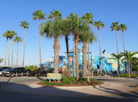 Pier with views of coastline, and older touristy street leading off it.