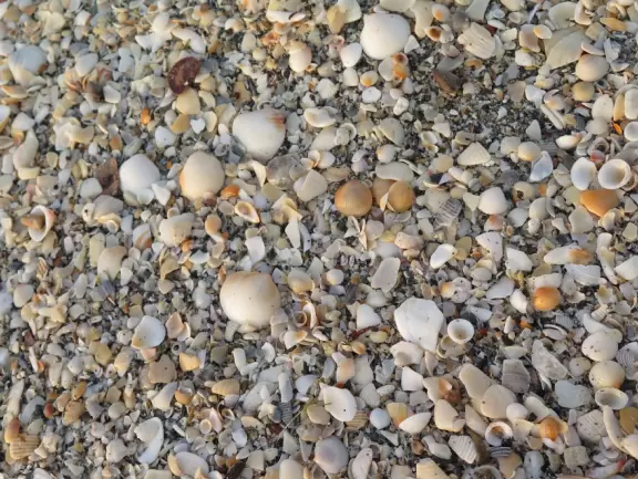 Lovely beach with thin ribbon of sand backed by high walls of dunes, and across the street, a playground with white sand and swings.