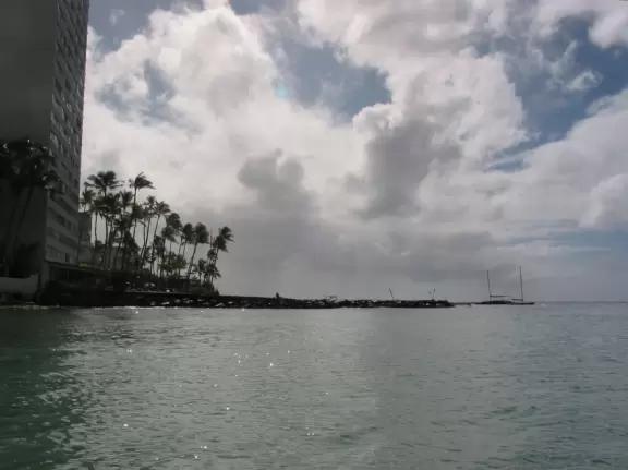 Hau Tree Beach, or Kaimana Beach, offers one of the best swims in Waikiki- clear calm water with a soft sandy bottom, and tons of shade!