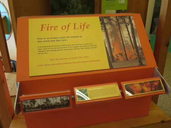 <a href="../Palm_Beach/Tequesta_town.html" target="_blank" rel="noopener"></a>Beautiful scenery- otherworldly tree stumps and pine scrub, then pine forest, then mangroves, then river jungle.