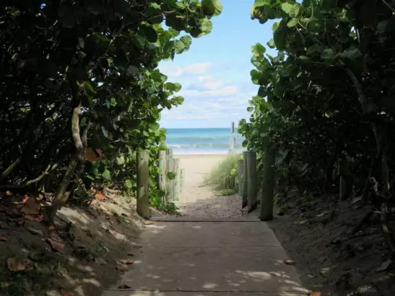 Exposed beach with gorgeous sea grape forest, sand volleyball courts, and basketball courts- a happening scene! Plus a concession snack area with a huge grass shack for shade.