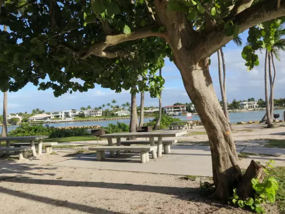 Large lagoon with clear water where kids can swim, tons of shade, and playground in the sand.