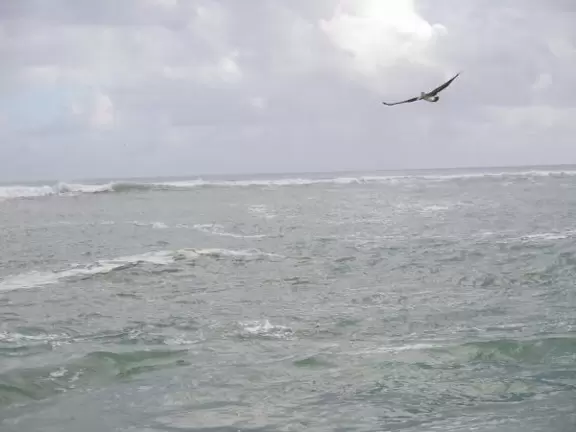 Beach where fishermen hang out on the jetty and surfers come to ride the waves at Jupiter Inlet.